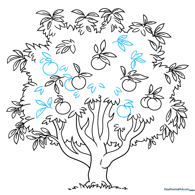 Completed line art of the peach tree ready for coloring.