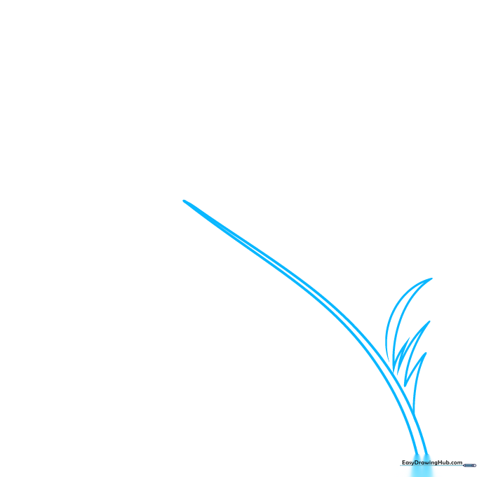Pencil sketch showing the long, curved central shaft of a peacock feather.