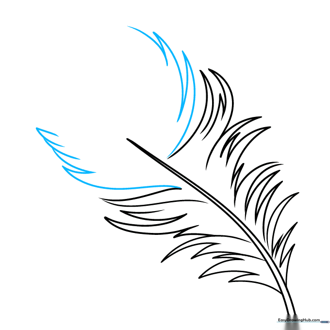 Detailing the tip of the feather with smaller, converging barb lines.