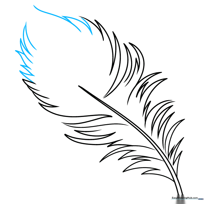 Refining the feather outline with additional barb lines for a fuller look.