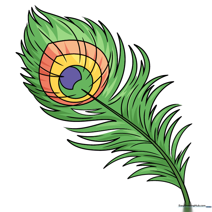 A fully colored and detailed peacock feather drawing.