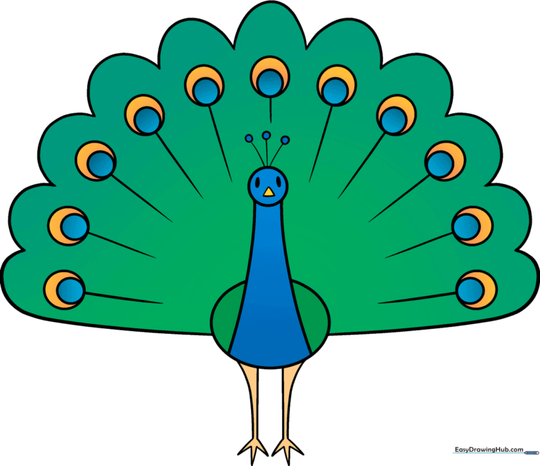 A colorful, finished peacock drawing displayed as a featured art project.