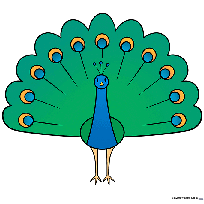 A fully colored, vibrant peacock drawing with blue, green, and gold feathers.