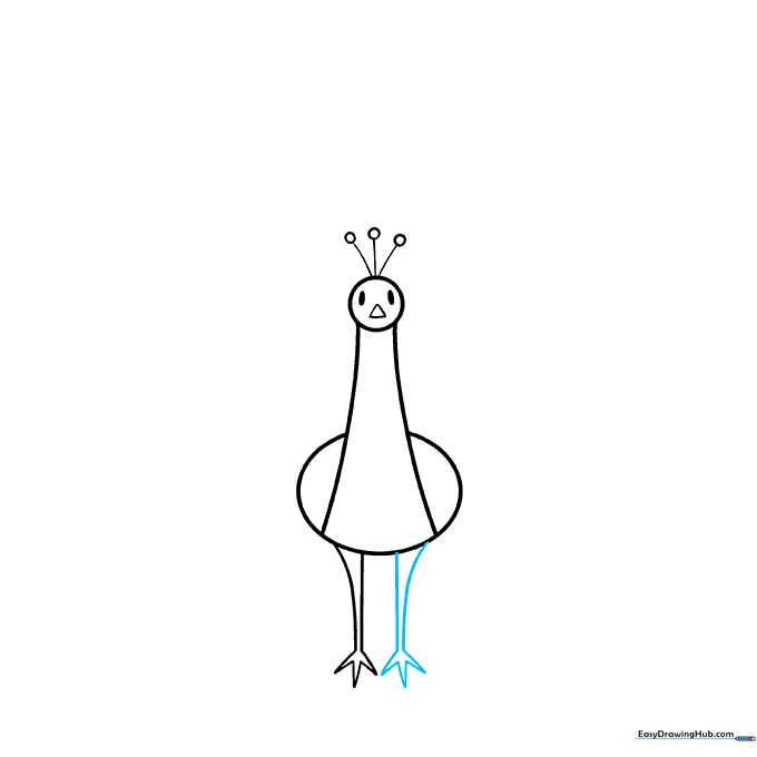 Adding a second leg to the peacock drawing to complete the stance.