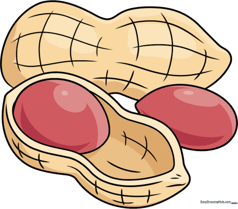 A finished, colored illustration of two peanuts, showcasing the completed drawing lesson.