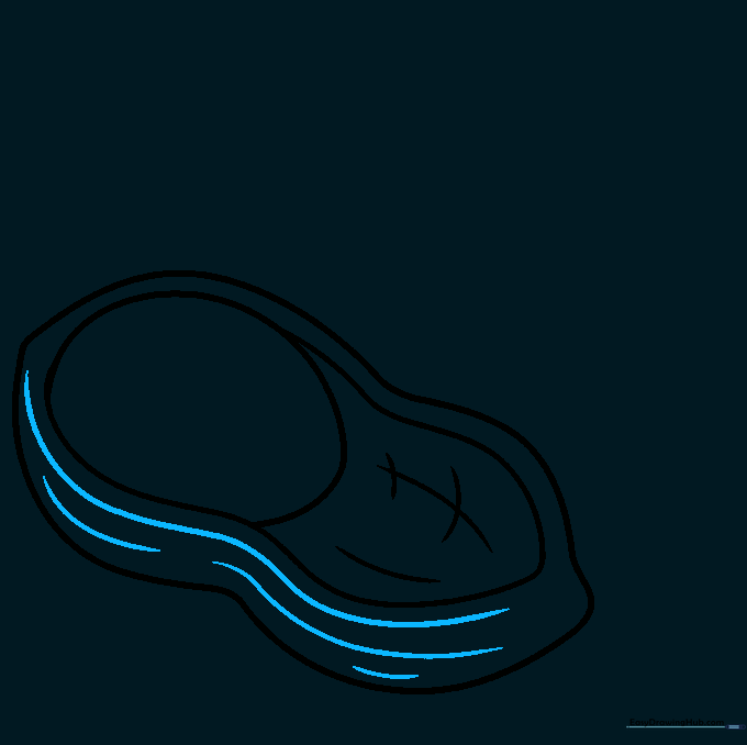 Adding additional curved lines to the exterior of the peanut shell for detail.