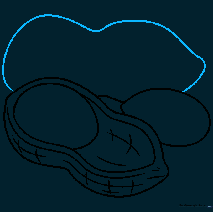 Outlining a second, separate peanut shape next to the first one.