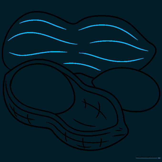 Adding texture lines to the second peanut shell.