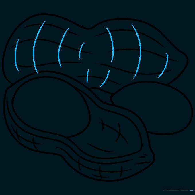 Completing the cross-hatching texture on the second peanut shell.