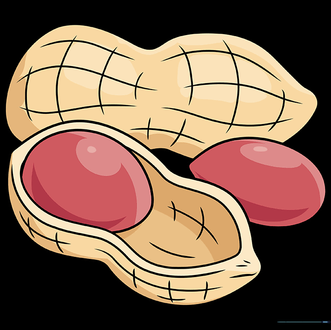 The final colored drawing of two peanuts with brown and tan shading.