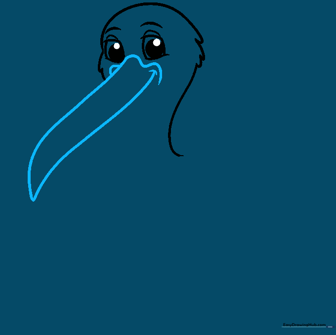 Drawing the long, pointed upper beak of the pelican extending from the face.