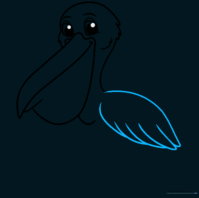 Drawing the pelican's wing with detailed feather patterns using U-shaped lines.