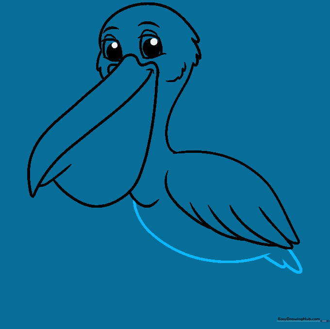 Outlining the pelican's rounded belly and tail feathers.