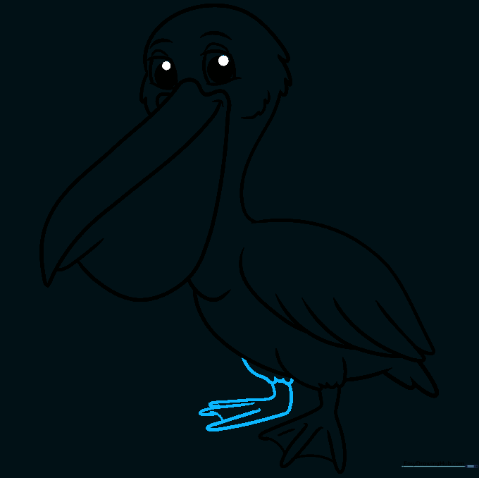 Adding the second leg in profile to complete the pelican's stance.