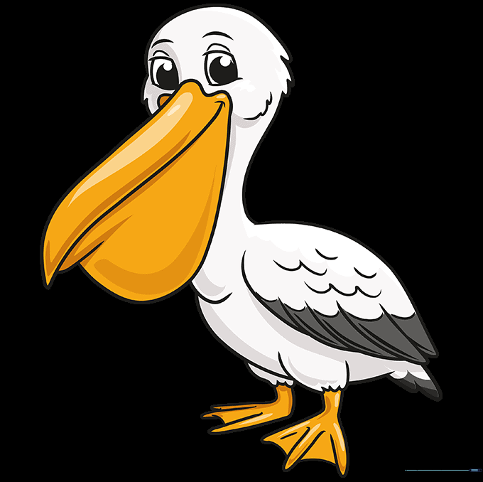 A fully colored, friendly cartoon pelican with white feathers and an orange beak.