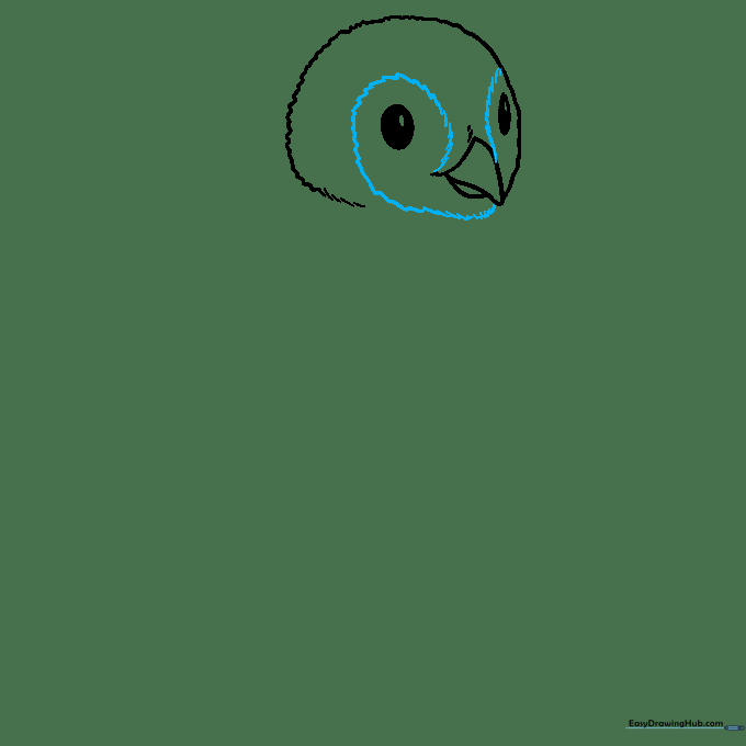 Adding textured zigzag lines around the eyes and beak for a fluffy appearance.