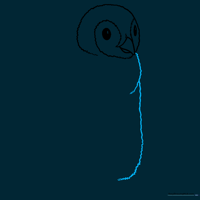 Drawing the long, curved line that forms the penguin's chest and belly.