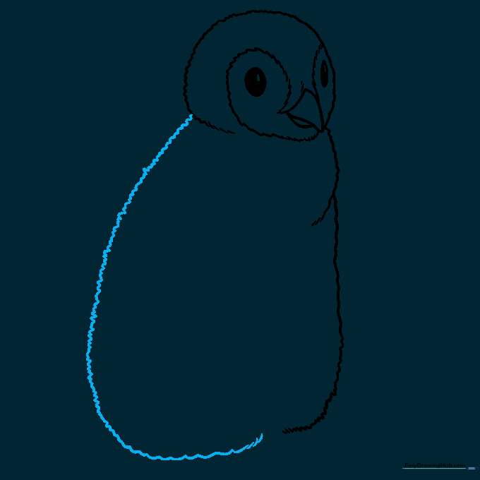 Outlining the back of the penguin with a long, textured line.