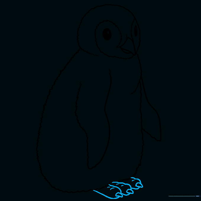Drawing two webbed feet with small claws at the bottom of the penguin.