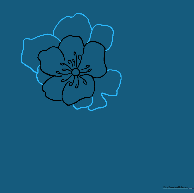Additional larger, overlapping petal shapes added to the existing flower structure.