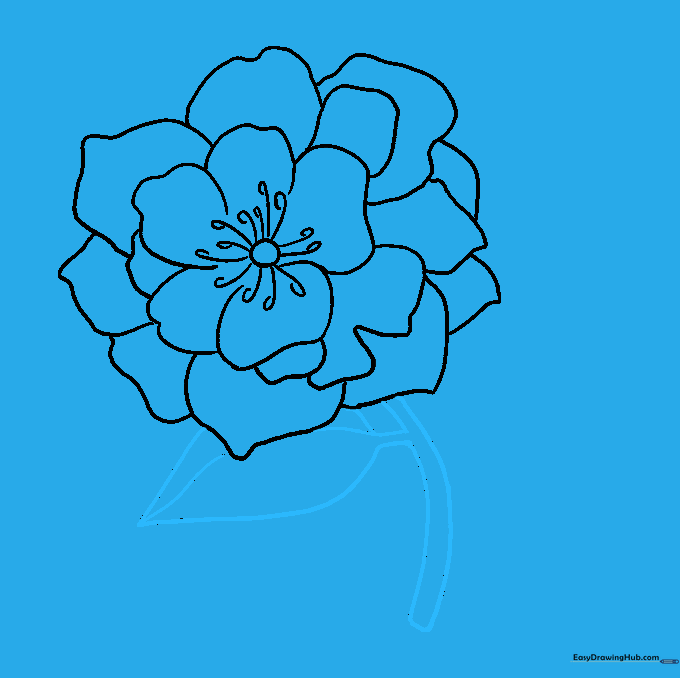 A stem extending from the bottom of the flower with a single pointed leaf attached.
