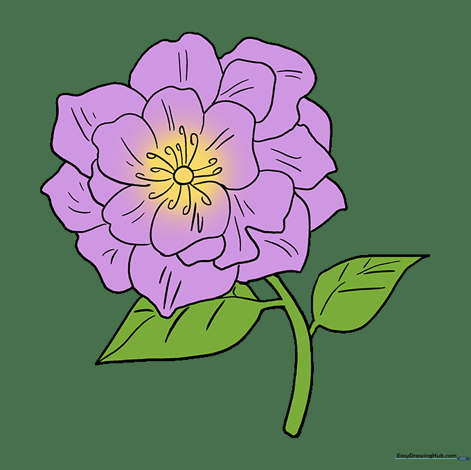 A fully colored, vibrant pink peony flower with green leaves, demonstrating shading techniques.
