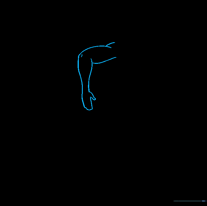 Sketch of a muscular arm bent at the elbow with a hand attached.