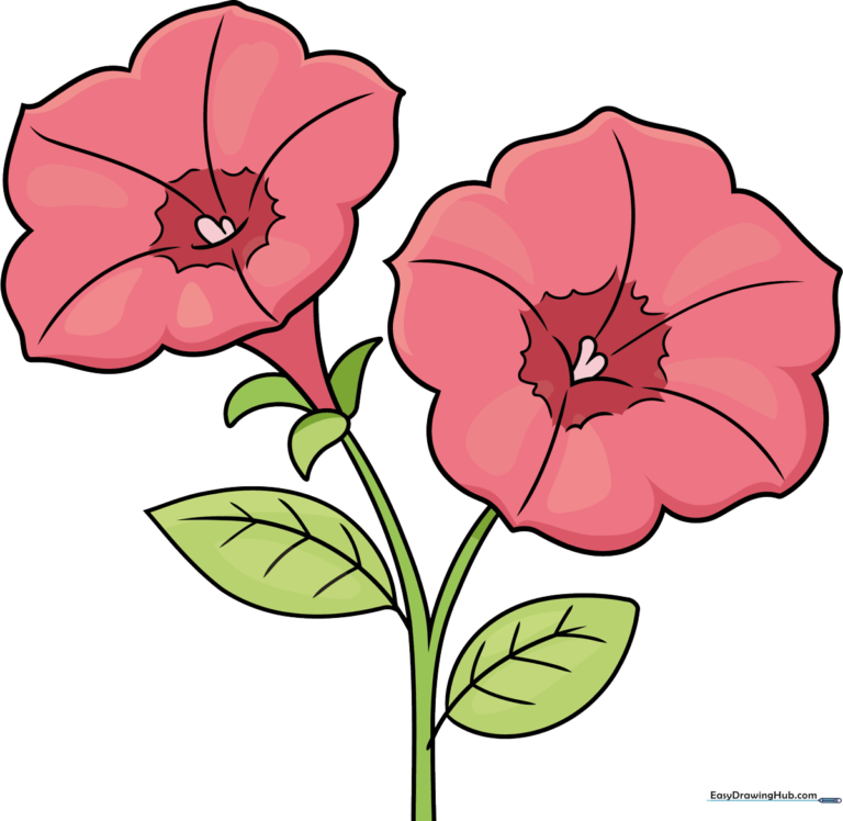 A colorful, finished petunia drawing displayed as a featured art project.