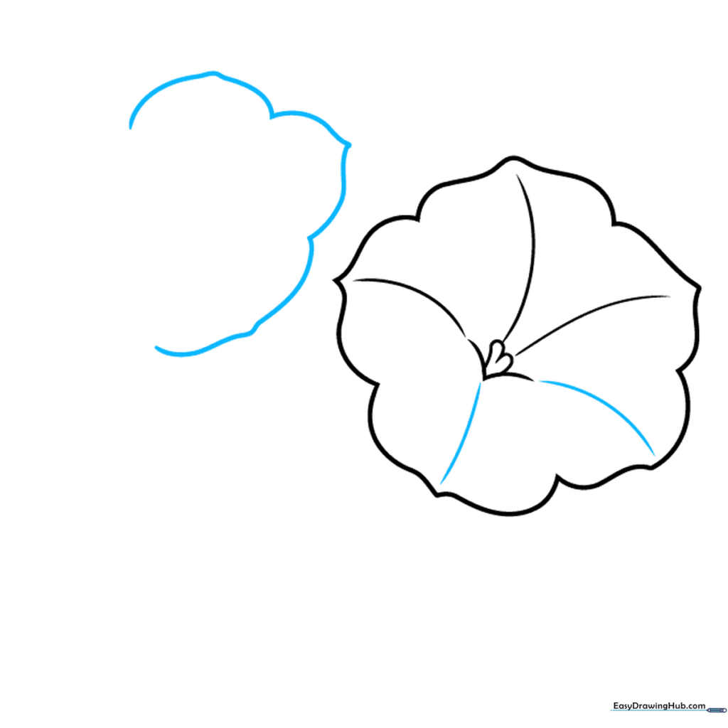 Petunia drawing with added curved lines inside the petals to represent texture.