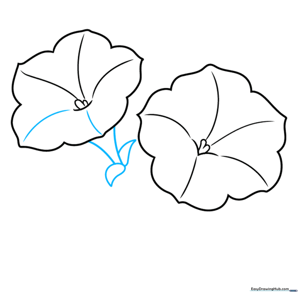 Drawing showing the trumpet-shaped base of the petunia with small sepals attached.