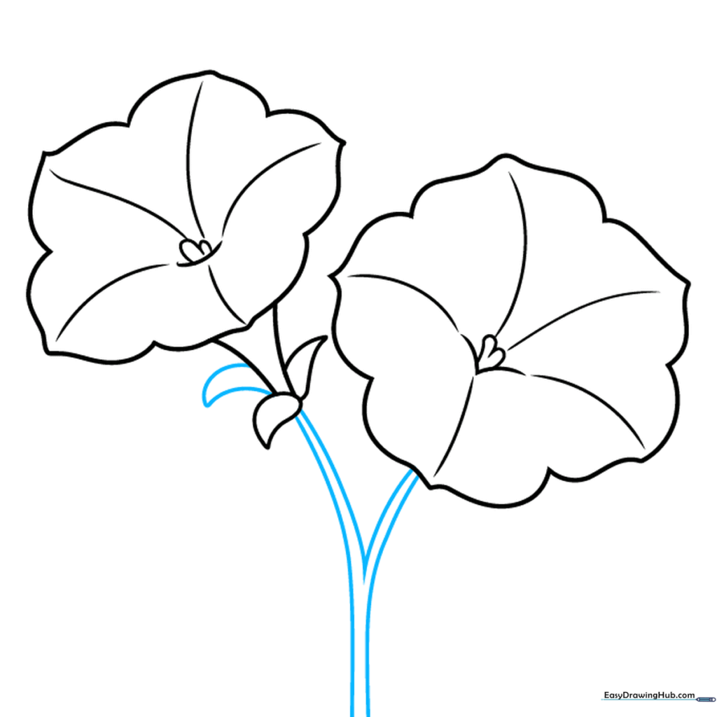 Drawing showing the Y-shaped stem connecting two petunia flowers.