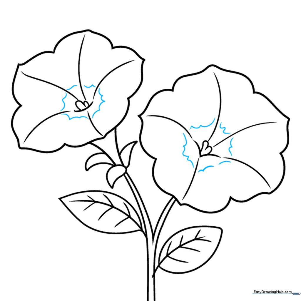 Drawing showing the final wavy line details added to the center of the petals.