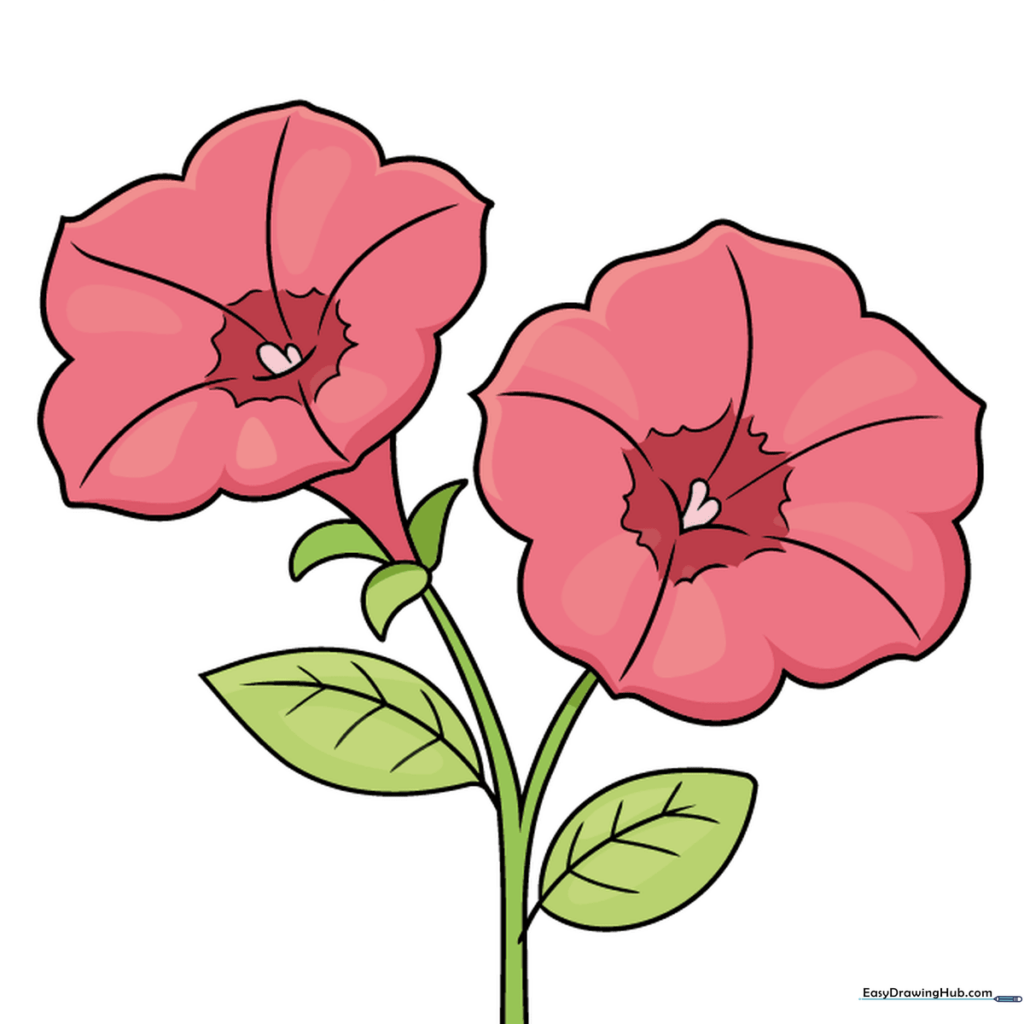Finished, colorful petunia drawing with vibrant purple petals and green leaves.