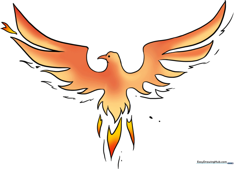 A vibrant, finished phoenix illustration with fiery wing details.