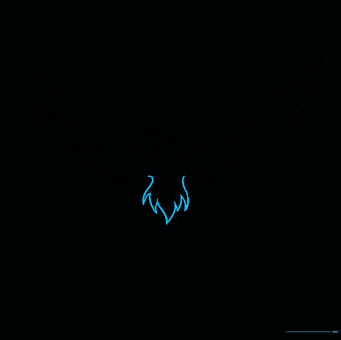 Phoenix drawing with long, flame-like tail feathers added.