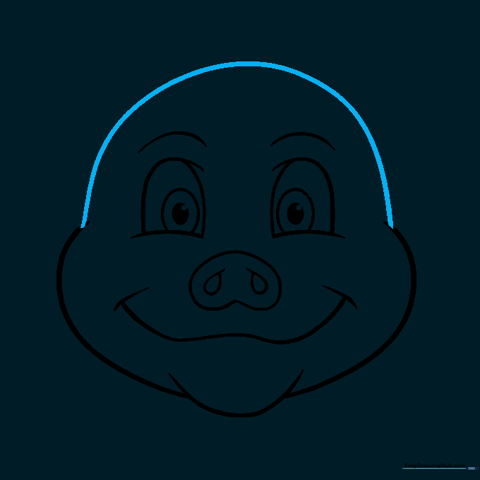 A rounded dome line connecting the two sides of the pig's head.