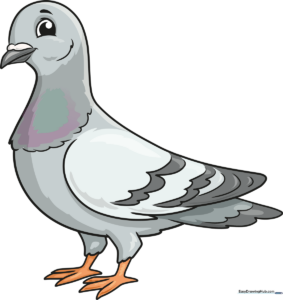 Finished cartoon pigeon drawing on a white background