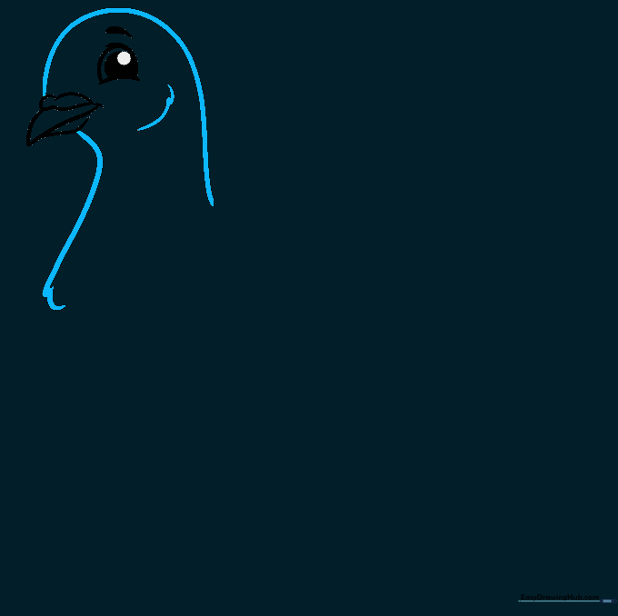 Outline of pigeon head and neck with feather texture