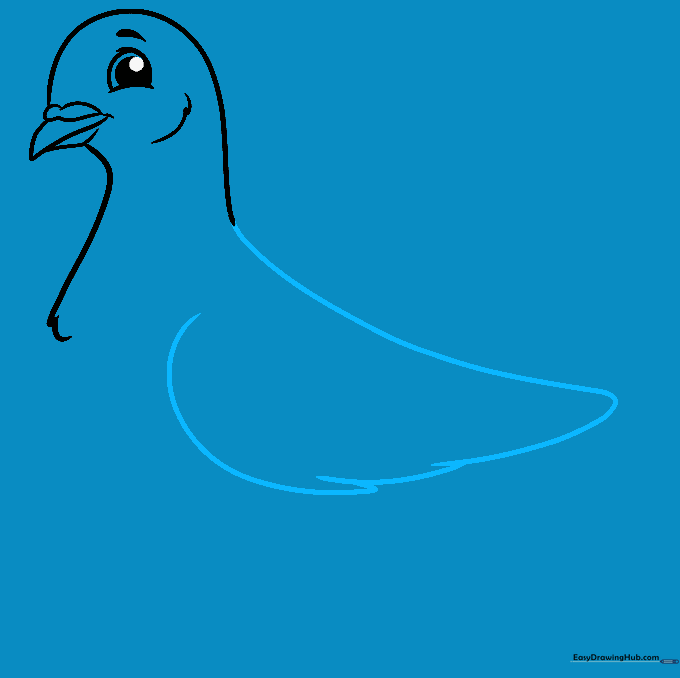 Drawing the pigeon wing structure with overlapping feathers