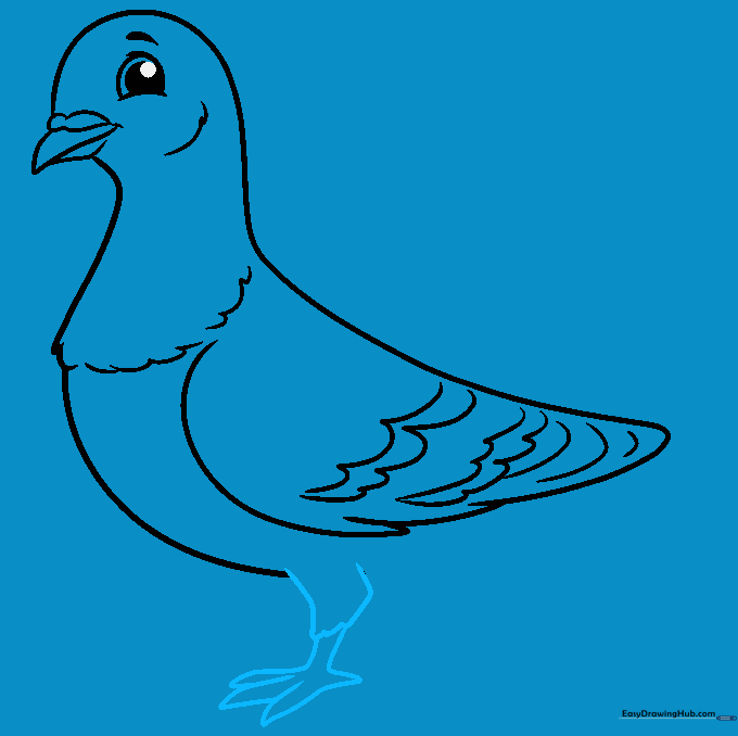 Drawing the first pigeon leg and foot with toes