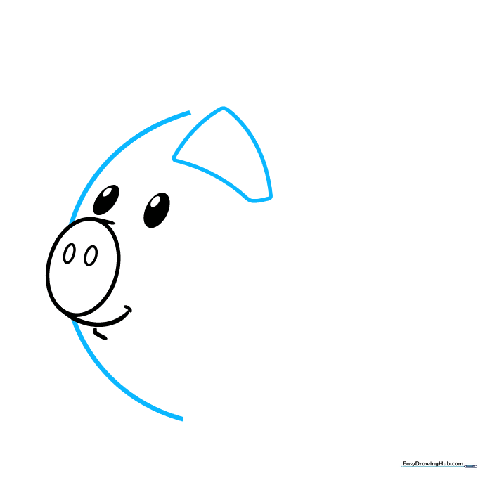 Adding a triangular ear and the outer contour of the piggy bank head.