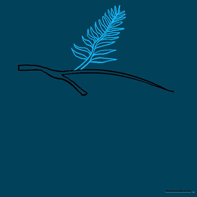 Drawing a secondary branch with sharp, pointed pine needles attached.