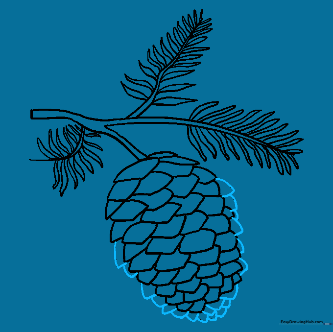 Completing the outline of the pinecone with final scale details.