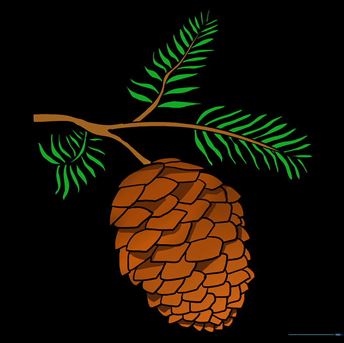 A finished, colored pinecone drawing with brown scales and green needles.