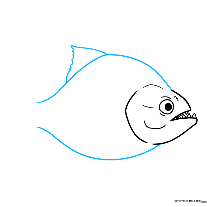 Sketching the rounded body shape and the beginning of the dorsal fin.