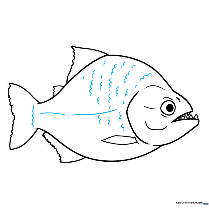 Adding scale patterns and body texture to the piranha drawing.