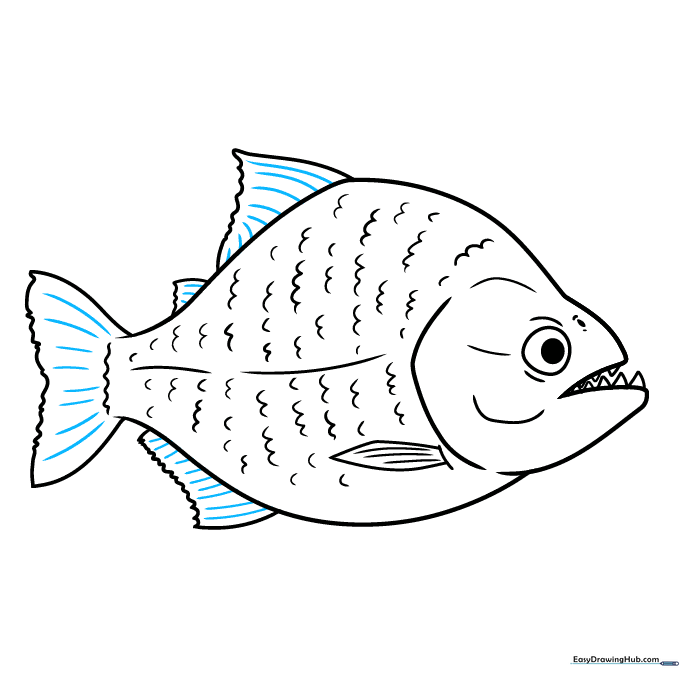 Finalizing the piranha outline with detailed fin textures.