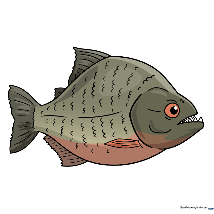 A fully colored, cartoon-style piranha with red belly and dark back.