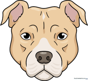 A completed, colorful drawing of a Pitbull face, showcasing the final result of the tutorial.