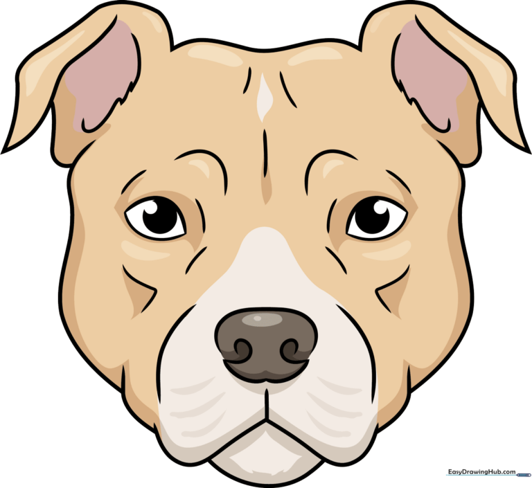 A completed, colorful drawing of a Pitbull face, showcasing the final result of the tutorial.